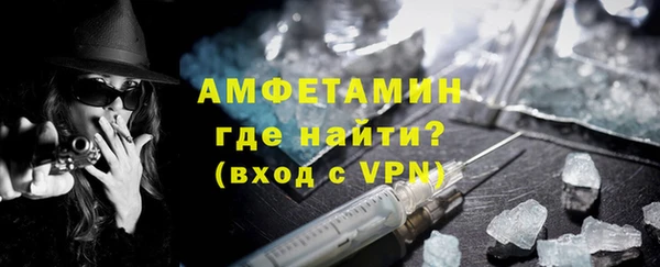 твердый Вяземский