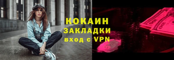 твердый Вяземский