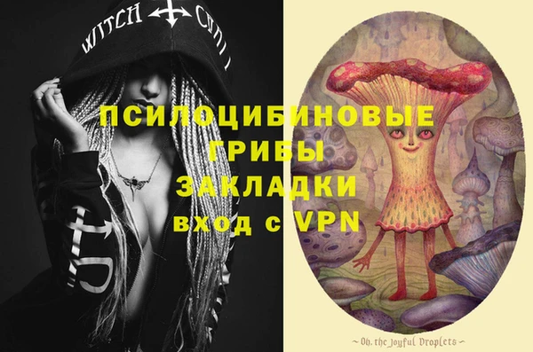 сатива Вязьма