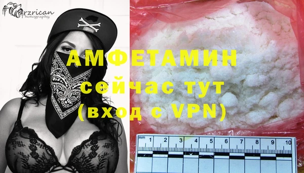 сатива Вязьма