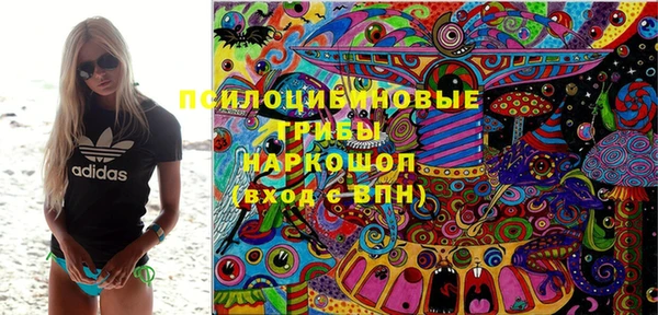 твердый Вяземский
