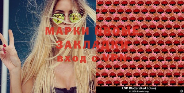 твердый Вяземский