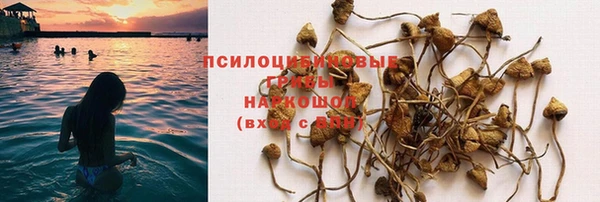 сатива Вязьма