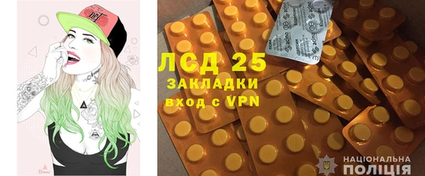 сатива Вязьма